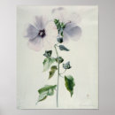 Pesquisar por século xviii posters pôsteres pósteres Flores
