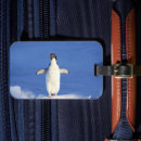 Pesquisar por pinguins e bagagem tags Frio