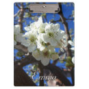 Pesquisar por árvore de pera Primavera