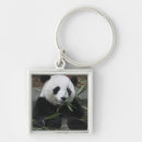 Pesquisar por gigantes chaveiros Panda