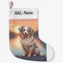 Pesquisar por pastores australianos Cachorros