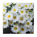 Pesquisar por margaridas brancas azulejos Margarida branca