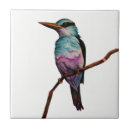 Pesquisar por pássaros em azulejos Vida selvagem