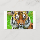 Pesquisar por tigres cartao de visita Predador