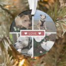 Pesquisar por animais estimação memoriais ornamentos Natal