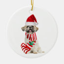 Pesquisar por shih tzu ornamentos Papais noeis