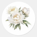 Pesquisar por peônia adesivos Primavera