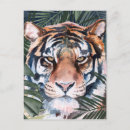 Pesquisar por do animal selvagem cartoes postais Flores
