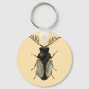 Pesquisar por entomologia chaveiros Inseto