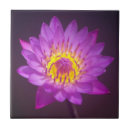 Pesquisar por flor lotus de azulejos Para ela