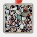 Pesquisar por concha ornamentos Praia