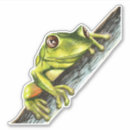 Pesquisar por verde sapo adesivos Sapo de árvore