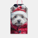 Pesquisar por planície etiquetas de presente Oeste da planície branca