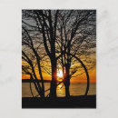 Pesquisar por anormais cartoes postais Foto