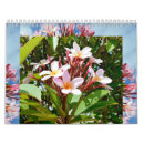 Pesquisar por havaiano calendarios Plumeria