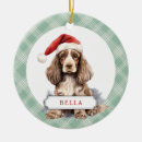 Pesquisar por de cocker spaniel ornamentos Natal