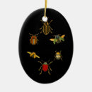 Pesquisar por insetos ornamentos Entomologia