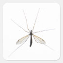 Pesquisar por mosquitos adesivos Malária