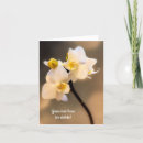 Pesquisar por cumprimento da orquídea Para todos