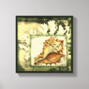 Pesquisar por shell impressão de canvas Natureza