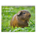 Pesquisar por porcos calendarios Animal