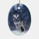 Pesquisar por lobo ornamentos Natureza