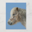 Pesquisar por miniaturas cartoes postais Foto