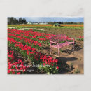 Pesquisar por trator de fazenda postais cartoes postais Natureza