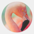 Pesquisar por close up adesivos Rosa