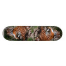 Pesquisar por tiger skates Selvagem