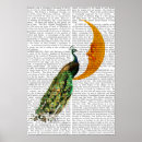 Pesquisar por pavão pósteres Animais