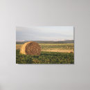 Pesquisar por agricultura impressão de canvas Colheita