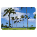 Pesquisar por ilhas havaianas imas Oahu