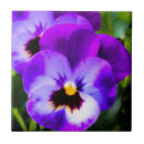 Pesquisar por do amor perfeito azulejos Roxo