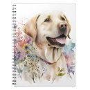 Pesquisar por retriever escritorio escola Cachorrinho