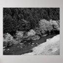 Pesquisar por rio preto pôsteres pósteres Floresta