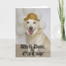 Pesquisar por expressão engraçada cartoes Cão