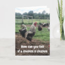 Pesquisar por veterinário engraçado cartoes Família