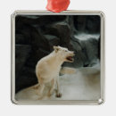 Pesquisar por lobo branco ornamentos Natureza