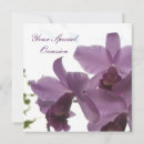 Pesquisar por flor da orquídea convites Orquídeas