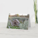 Pesquisar por canil cartoes Parabéns