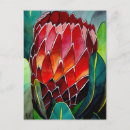 Pesquisar por flores australianas cartoes postais Qualquer pessoa