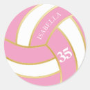 Pesquisar por voleibol adesivos Esporte