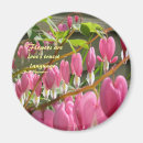 Pesquisar por sangramento imas Flores