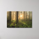 Pesquisar por nevoento fotografia Paisagem