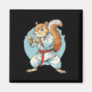 Pesquisar por tae kwon do imas Lutador