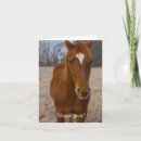 Pesquisar por cavalo marrom cartoes Animal
