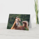 Pesquisar por cabeça do cavalo cartoes Garanhão