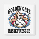 Pesquisar por caridade animal imas Cão