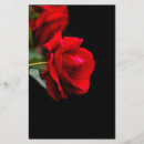 Pesquisar por rosa vermelha flyers Vermelho